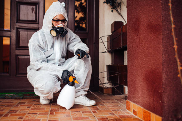 Reliable Wasp Removal contractor in Goshen, CA by Show Me Pest Control